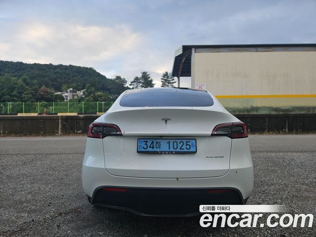 Tesla Model Y из Кореи Encar