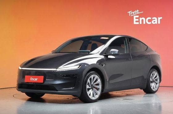Tesla Model Y Long Range AWD — пробег 13 222 км — фото 1 из 5