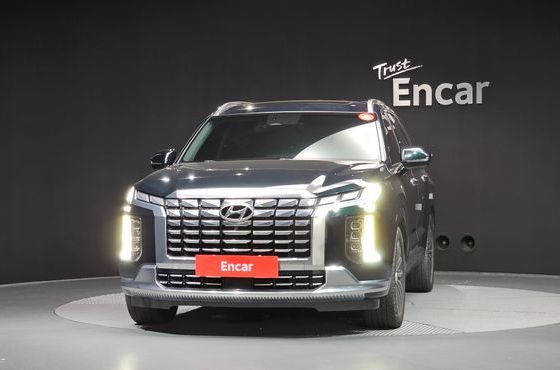 Hyundai Palisade Gasoline 3.8 4WD VIP — пробег 119 887 км — фото 3 из 5