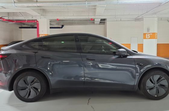 Tesla Model Y RWD — пробег 6 000 км — фото 3 из 5