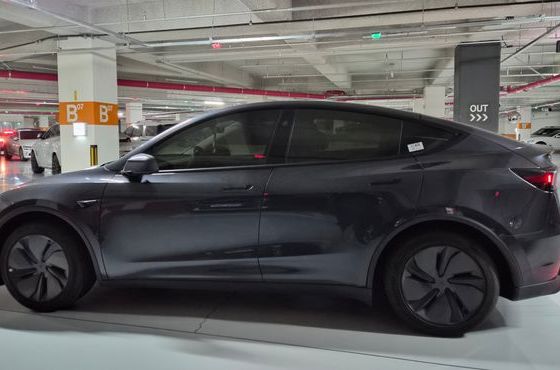 Tesla Model Y RWD — пробег 6 000 км — фото 5 из 5
