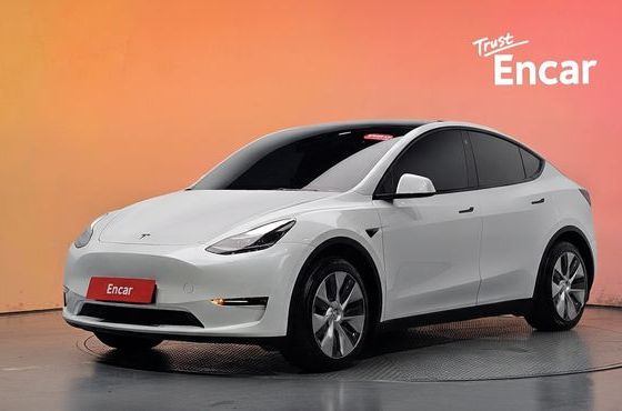 Tesla Model Y Standard Range RWD — пробег 85 095 км — фото 1 из 5