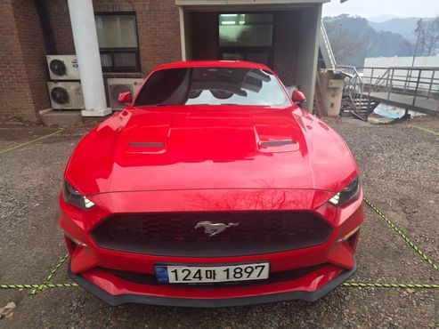 Ford Mustang Coupe — пробег 51 000 км — фото 1 из 5