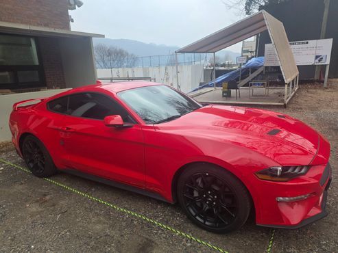 Ford Mustang Coupe — пробег 51 000 км — фото 4 из 5
