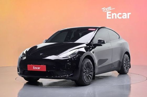 Tesla Model Y RWD — пробег 42 550 км — фото 1 из 5