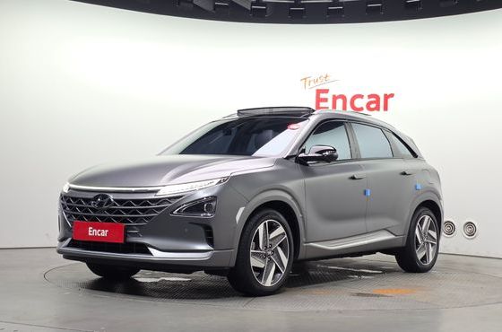 Hyundai Nexo Premium — пробег 49 709 км — фото 1 из 5
