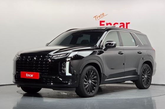 Hyundai Palisade Diesel 2.2 4WD Calligraphy Black Edition — пробег 12 569 км — фото 1 из 5