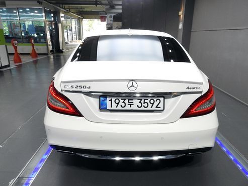 Mercedes-Benz CLS-Class CLS250 d 4MATIC — пробег 101 383 км — фото 4 из 5