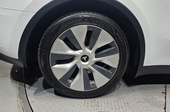 Tesla Model Y RWD — пробег 39 061 км — фото 5 из 5