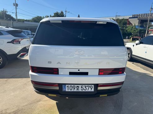 Hyundai Santafe HEV 1.6 2WD Exclusive — пробег 5 км — фото 5 из 5