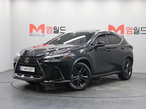 Lexus NX Premium — пробег 28 062 км — фото 1 из 5