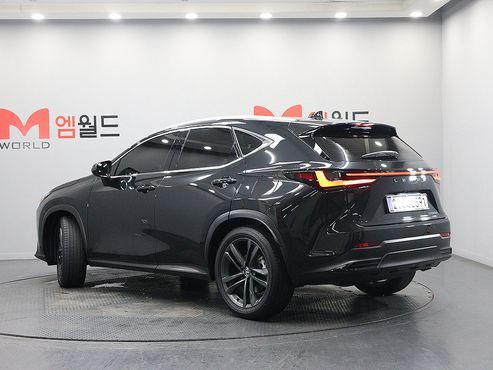 Lexus NX Premium — пробег 28 062 км — фото 4 из 5