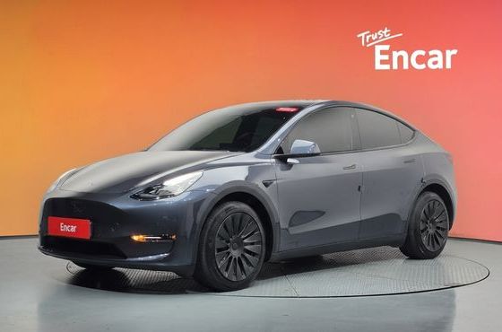 Tesla Model Y Long Range AWD — пробег 88 590 км — фото 1 из 5