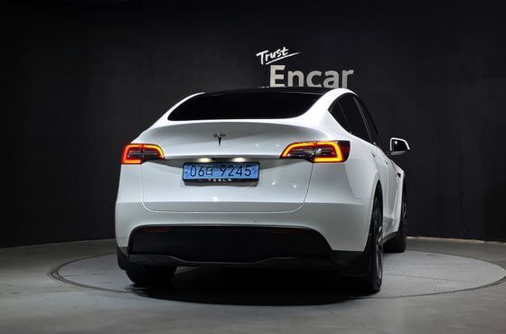 Tesla Model Y Standard Range RWD — пробег 112 632 км — фото 4 из 5