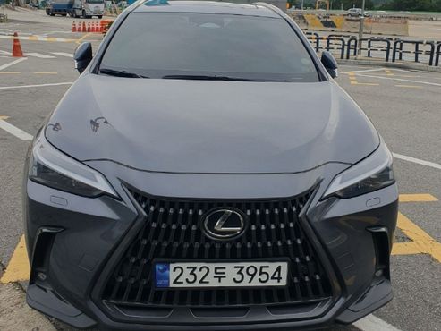 Lexus NX Premium — пробег 33 038 км — фото 1 из 5