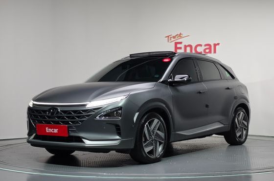 Hyundai Nexo Premium — пробег 44 161 км — фото 1 из 5