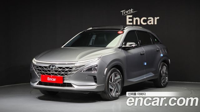 Hyundai Nexo Premium — пробег 53 750 км — фото 1 из 5