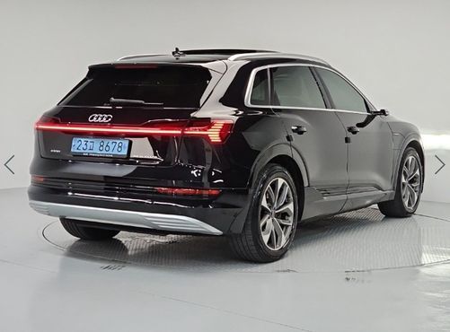 Audi e-tron 55 Quattro — пробег 231 121 км — фото 4 из 5