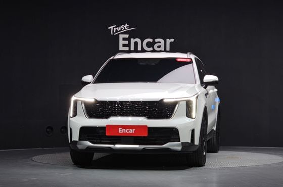Kia Sorento HEV 1.6 2WD Signature — пробег 18 936 км — фото 3 из 5