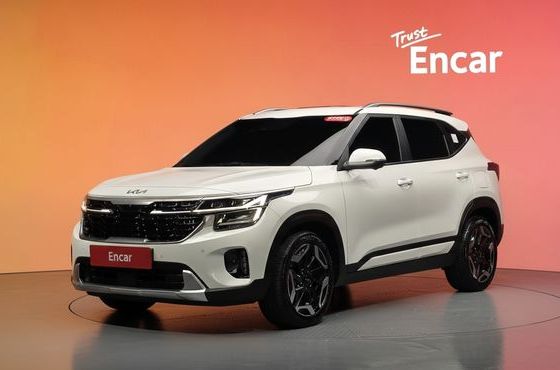 Kia Seltos Gasoline 2.0 2WD Signature — пробег 45 480 км — фото 1 из 5