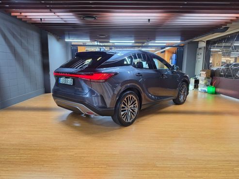 Lexus RX Luxury — пробег 4 346 км — фото 2 из 5