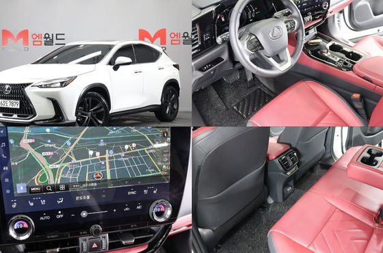 Lexus NX Premium — пробег 4 931 км — фото 1 из 5