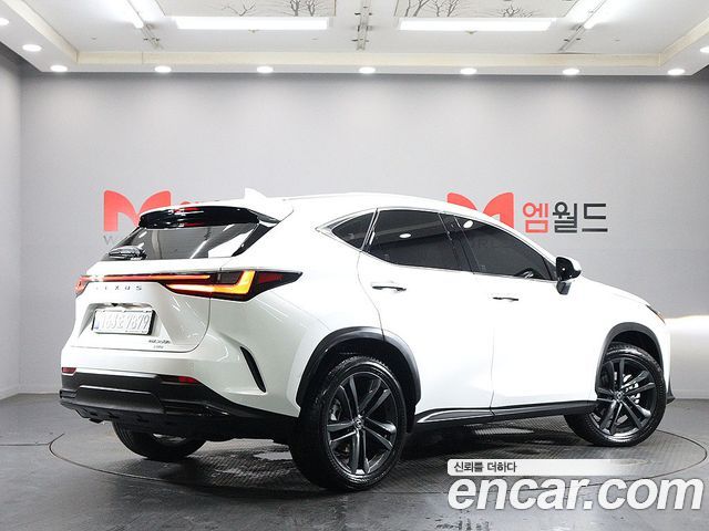 Lexus NX Premium — пробег 4 931 км — фото 2 из 5