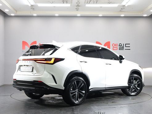 Lexus NX Premium — пробег 4 931 км — фото 2 из 5