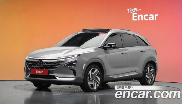 Hyundai Nexo Premium — пробег 76 417 км — фото 1 из 5
