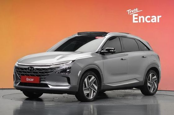 Hyundai Nexo Premium — пробег 76 417 км — фото 1 из 5
