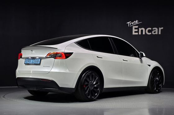 Tesla Model Y Performance AWD — пробег 25 205 км — фото 2 из 5