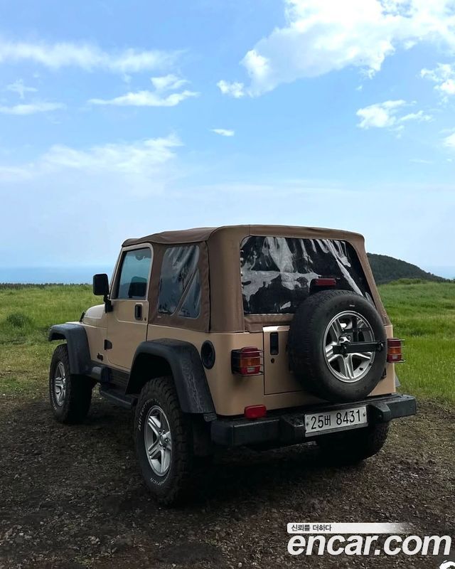 Jeep Wrangler 4.0 — пробег 399 500 км — фото 2 из 5