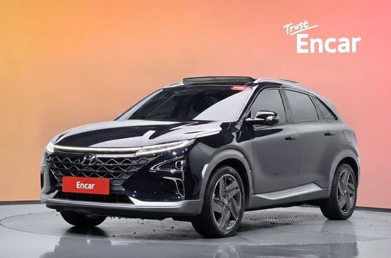 Hyundai Nexo Premium — пробег 82 940 км — фото 1 из 5