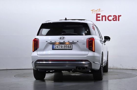 Hyundai Palisade Diesel 2.2 4WD VIP — пробег 109 169 км — фото 4 из 5