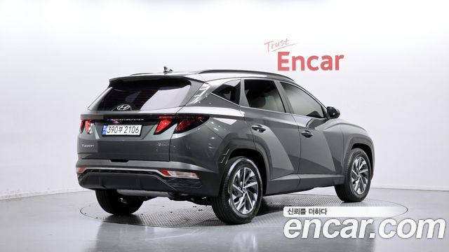 Hyundai Tucson Premium 2WD — пробег 117 880 км — фото 2 из 5