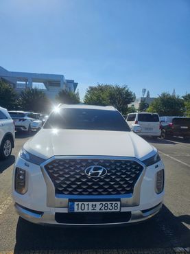 Hyundai Palisade Diesel 2.2 4WD Calligraphy — пробег 57 665 км — фото 1 из 5
