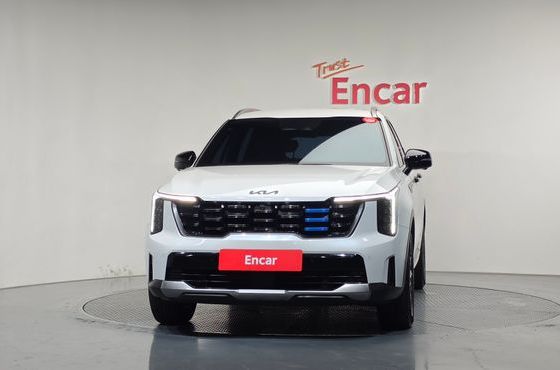 Kia Sorento HEV 1.6 2WD Signature — пробег 31 075 км — фото 3 из 5