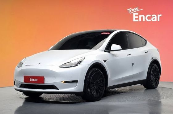Tesla Model Y Long Range AWD — пробег 73 504 км — фото 1 из 5