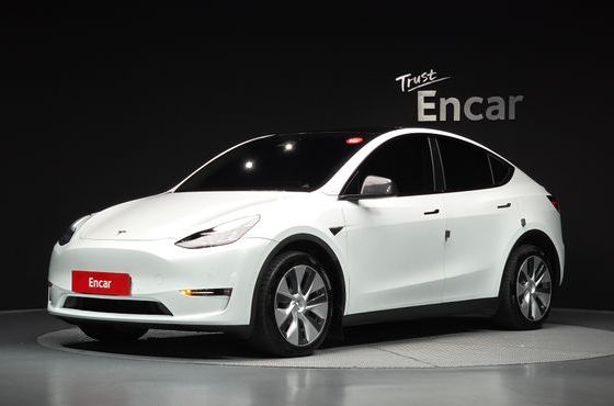 Tesla Model Y Long Range AWD — пробег 131 324 км — фото 1 из 5