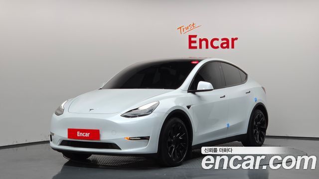 Tesla Model Y Long Range AWD — пробег 156 075 км — фото 1 из 5