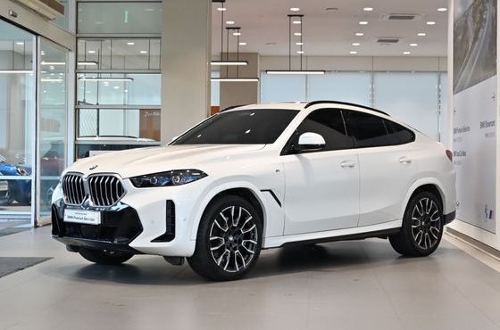 BMW X6 xDrive40i M Sport — пробег 33 569 км — фото 1 из 2