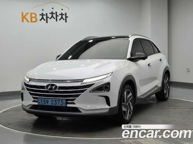 Hyundai Nexo Premium — пробег 104 100 км — фото 1 из 5