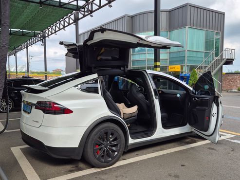 Tesla Model X Performance — пробег 42 000 км — фото 5 из 5