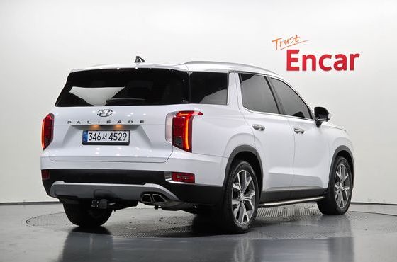 Hyundai Palisade Diesel 2.2 2WD Prestige — пробег 114 584 км — фото 2 из 5