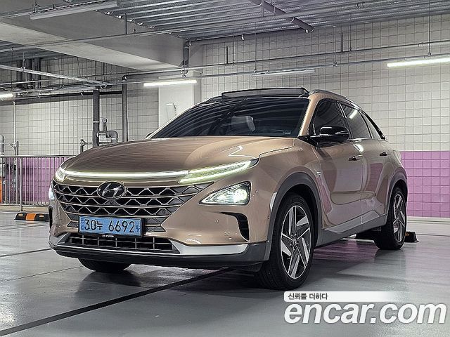Hyundai Nexo Premium — пробег 73 713 км — фото 1 из 5