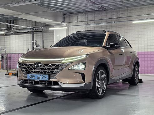 Hyundai Nexo Premium — пробег 73 713 км — фото 1 из 5