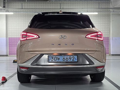 Hyundai Nexo Premium — пробег 73 713 км — фото 4 из 5
