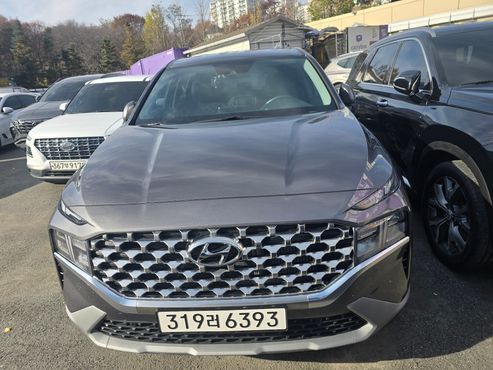 Hyundai Santafe Diesel 2.2 4WD Premium — пробег 106 570 км — фото 1 из 5