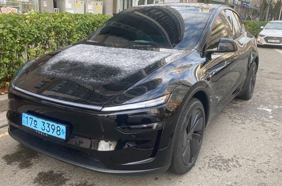 Tesla Model Y RWD — пробег 300 км — фото 2 из 5