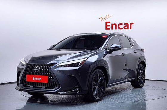 Lexus NX Premium — пробег 100 293 км — фото 1 из 5